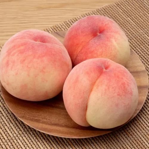 리얼 특대과 복숭아 4kg (경북 의성) (무료배송)
