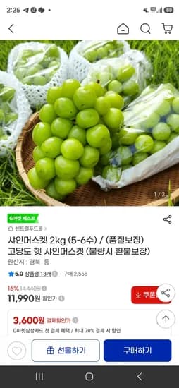 샤인머스켓 2kg (5-6수) / (품질보장) 고당도 햇 샤인머스켓 (불량시 환불보장) (11,990원/무료)