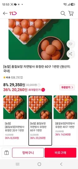 품질보장 자연방사 유정란 60구 1번란