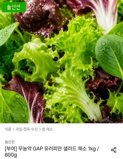 무농약 GAP 유러피안 샐러드 채소 800g