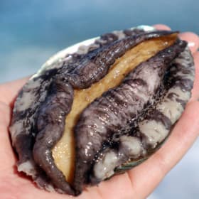 지마켓)(신선집중) 완도 전복 활전복 큰전복 9-11미 1KG 횟감용 어버이날 전복