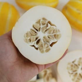 지마켓)진짜성주꿀참외 참외 5kg (실중량4.5kg)랜덤과포장제무게포함 15% 기존가15,000원 12,750원