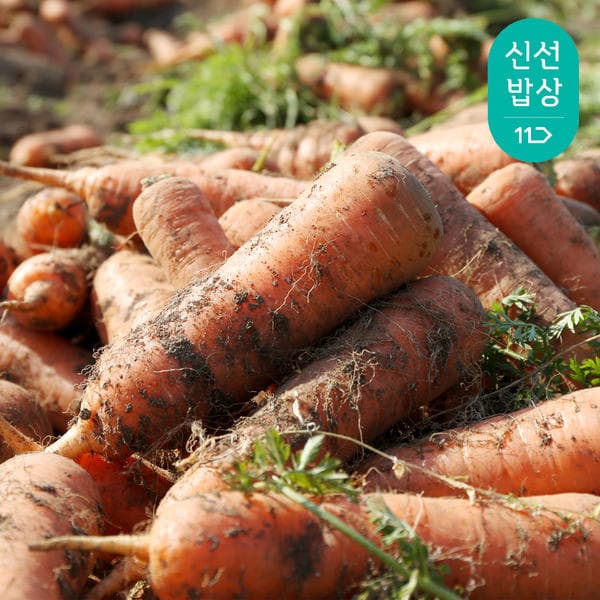 경남 하우스 햇 흙당근 3kg (6,400원/무료 배송)