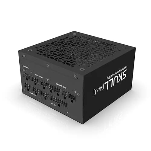 NEWZEN SKULL 1000XM ATX 3.0 80PLUS GOLD (무료배송)