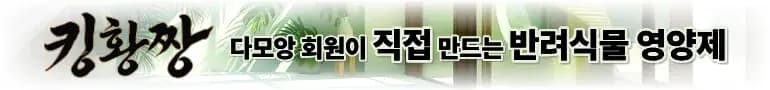 전라도 총각김치 국내산 남도식 알타리김치