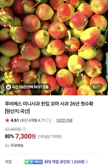 루비에스 미니사과 한입 꼬마 사과 500g (7,300원/무료)