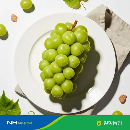 월항 농협 16~17Brix 이상 샤인머스켓 2kg 4수 7980원 무배