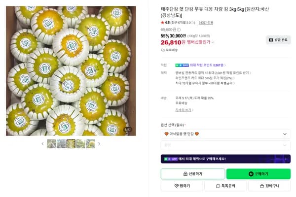태추단감 햇 단감 부유 대봉 차량 감 3kg 5kg [원산지:국산(경상남도)]
