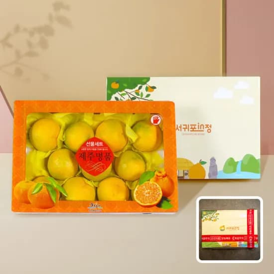 서귀포인정 제주 황금향 2.5kg 로얄과 선물세트 / 7-14과 / 선물추천
