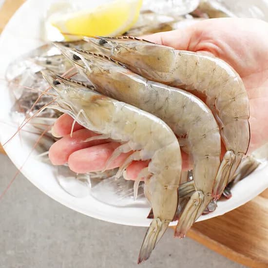 생물 새우 1kg 35-45미내외 당일새벽 조업분 출고 100% 국내산
