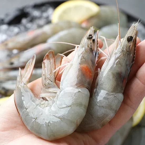흰다리 새우 1kg 약32미내외