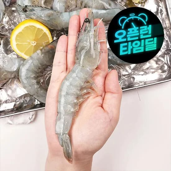 국내산 흰다리새우 횟감용 1kg 30미 내외