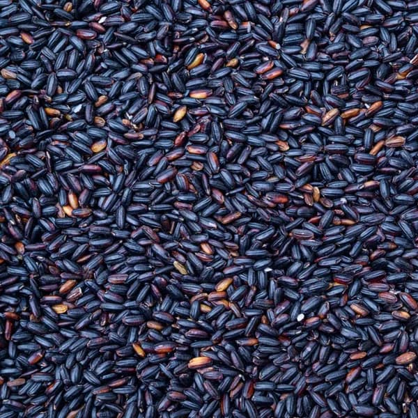 국내산 찰흑미 500g 2봉