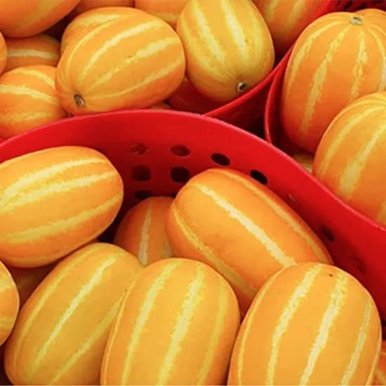 성주 산지직송 꿀 참외 가정용 혼합과 10kg 실중량 당도선별
