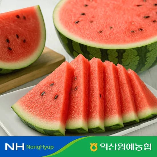 고당도 수박 9kg 12brix