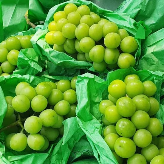 샤인머스켓 1kg 특품 1-2수