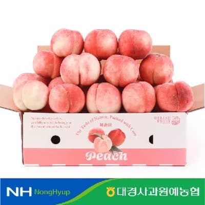 경북영천 딱딱이 복숭아 로얄과 2kg 10과내외