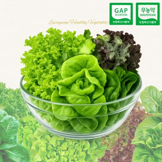 샐러드 쌈채소 1kg 3~5종