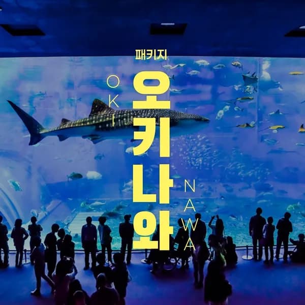 오키나와 3박 4일 천연온천 1일 자유일정