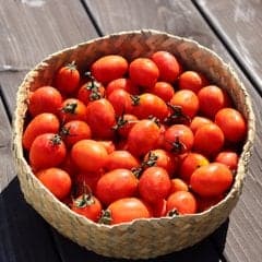 대추방울토마토 2kg