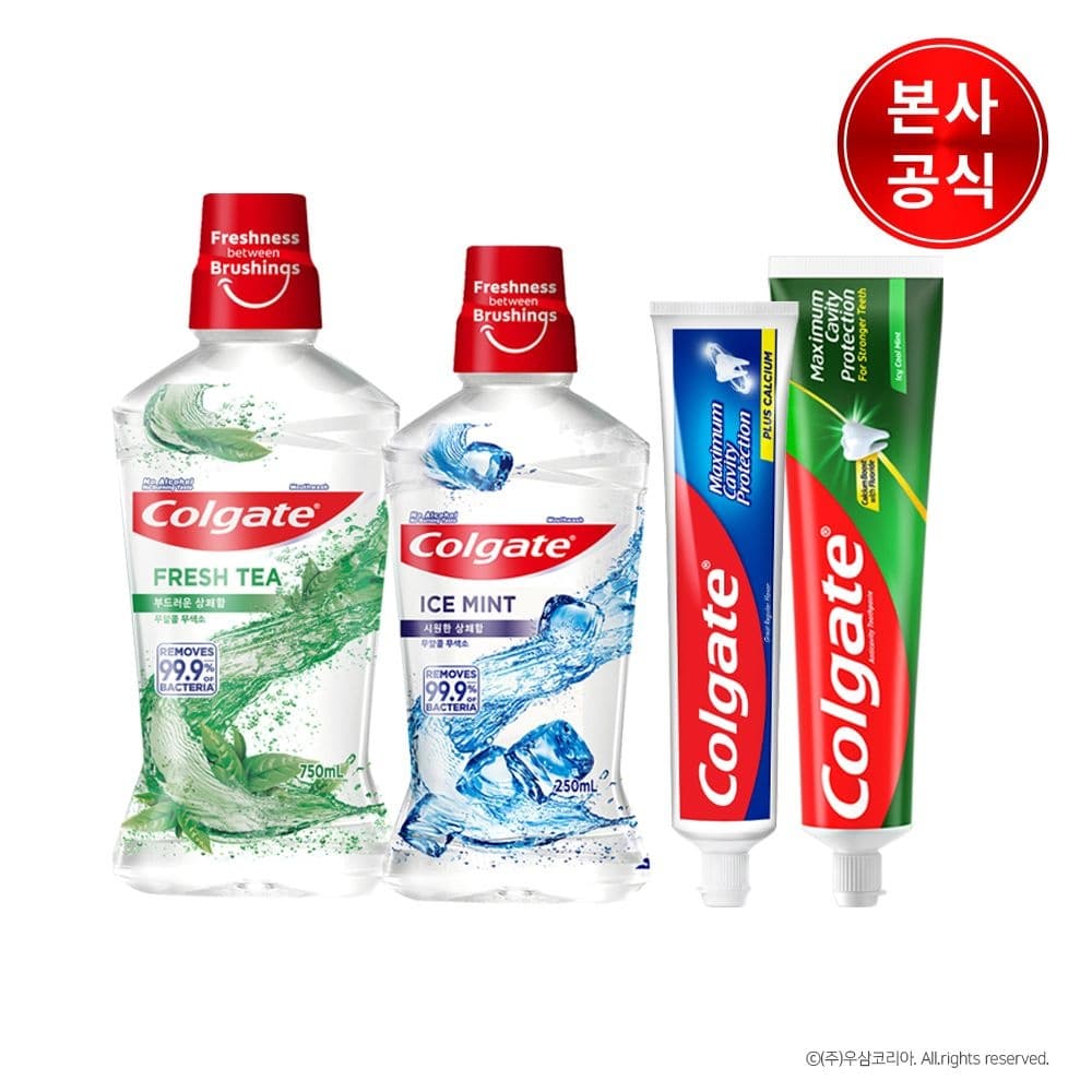 콜게이트 캐비티 프로텍션 불소치약 100g 레귤러/쿨민트 12개