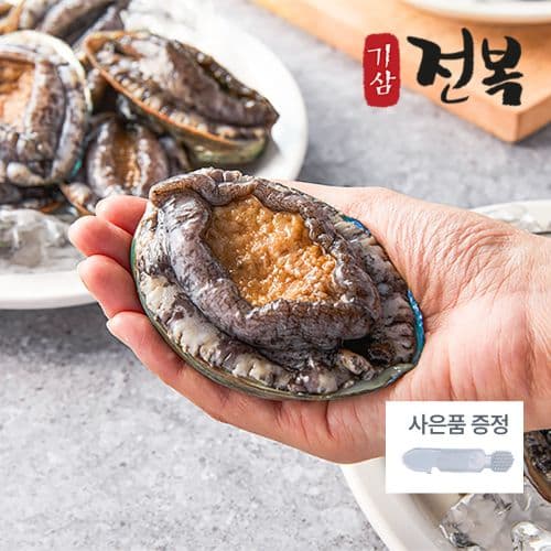 기삼전복 1kg 10미 + 손질솔