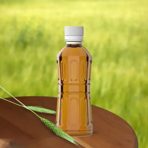 광동 밀싹보리차 330ml 20개입