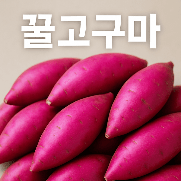 롯데온)해남 세척 꿀 고구마 3kg 대 8,900원 무배