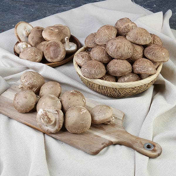 11번가) 충남서천 GAP인증 표고버섯 1KG 10,170원 무배