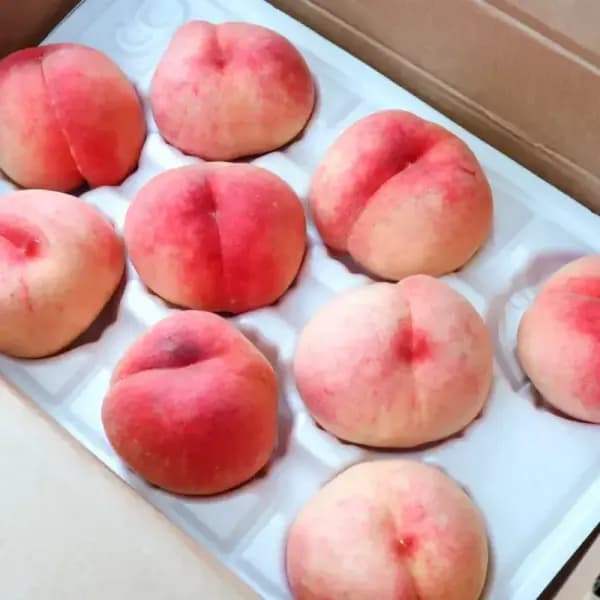 11번가) 60분러시 과즙 한가득 달콤 백도복숭아 2kg 10,320원