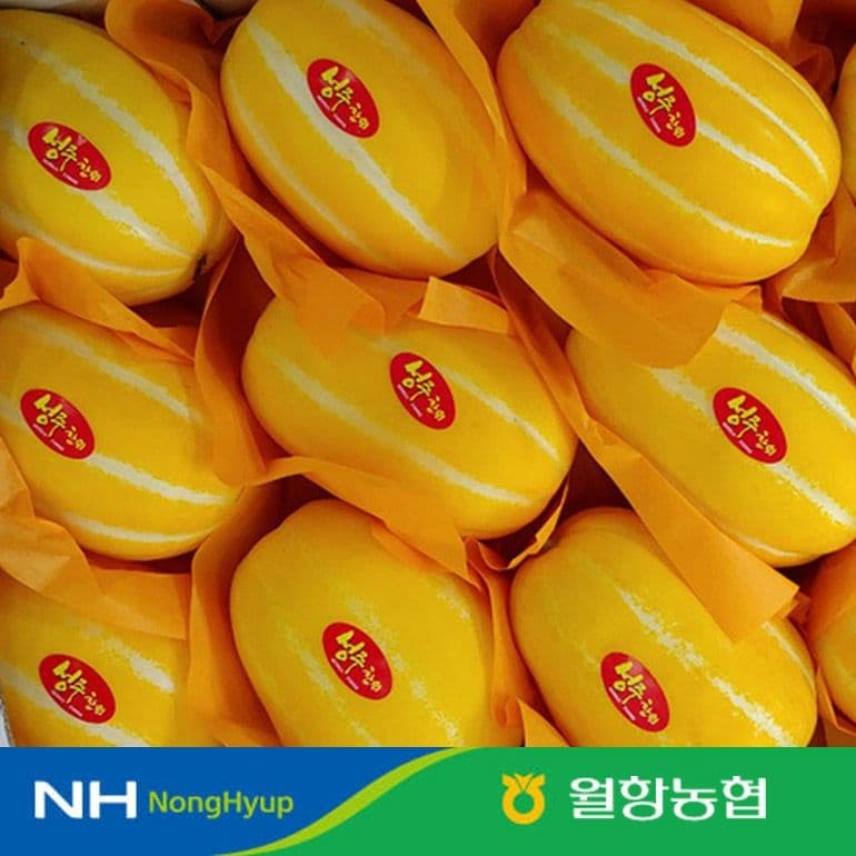 롯데온) 당도선별 정품 성주꿀참외 2kg 특품 6,770원
