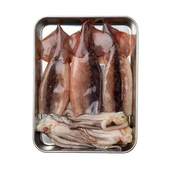 손질오징어 500g 5마리