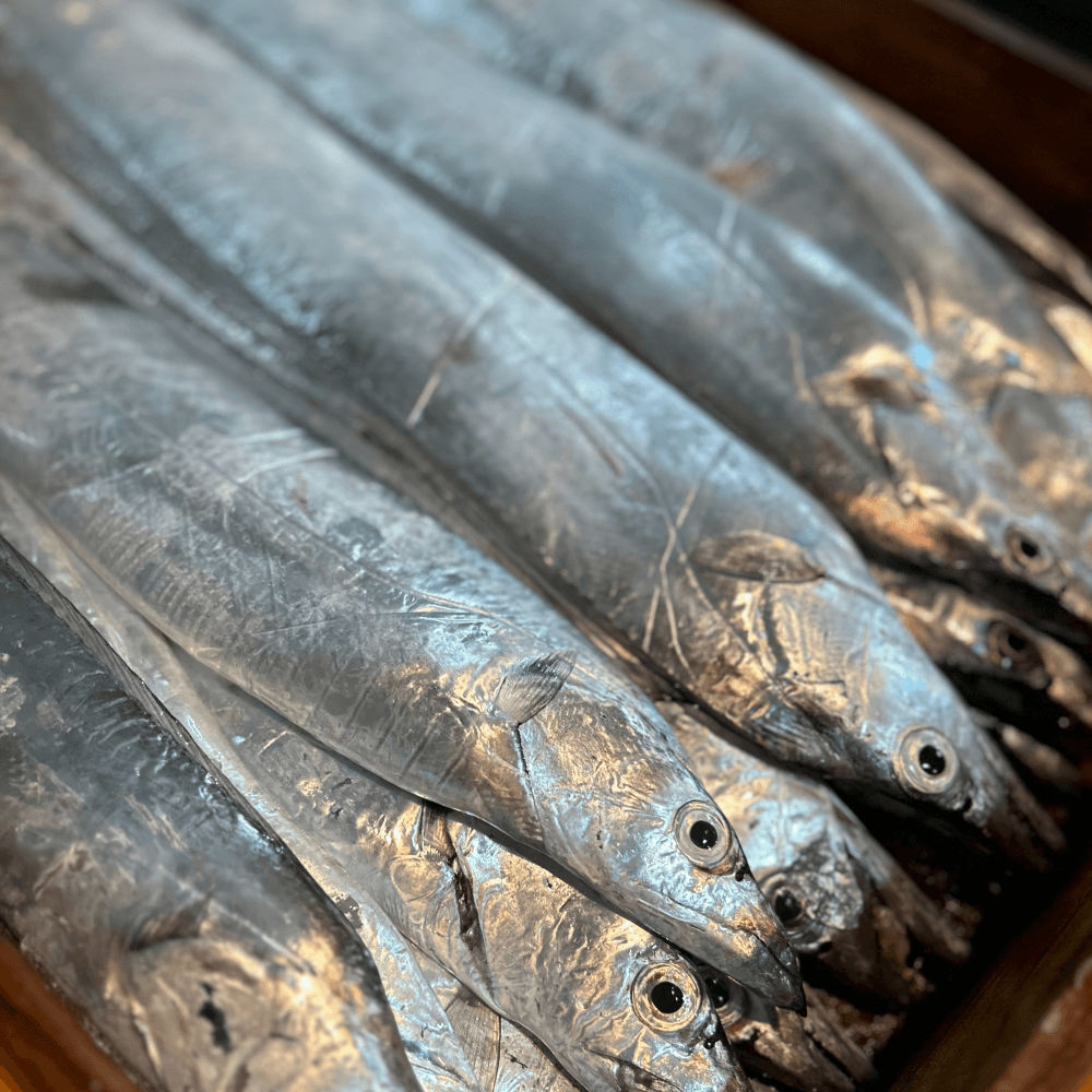 제주 은갈치 급냉 3미 9토막 무염 800g ₩26,320