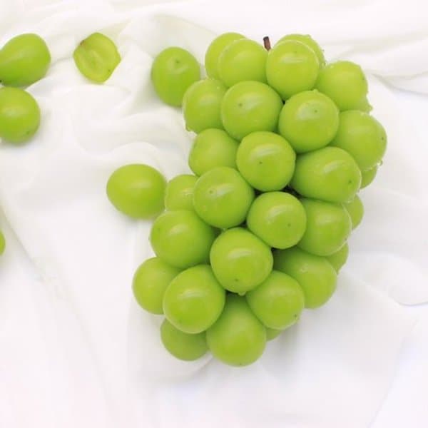 고당도 샤인머스켓 2kg 3-5송이