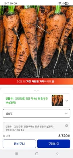 국내산 햇 흙 당근 5kg