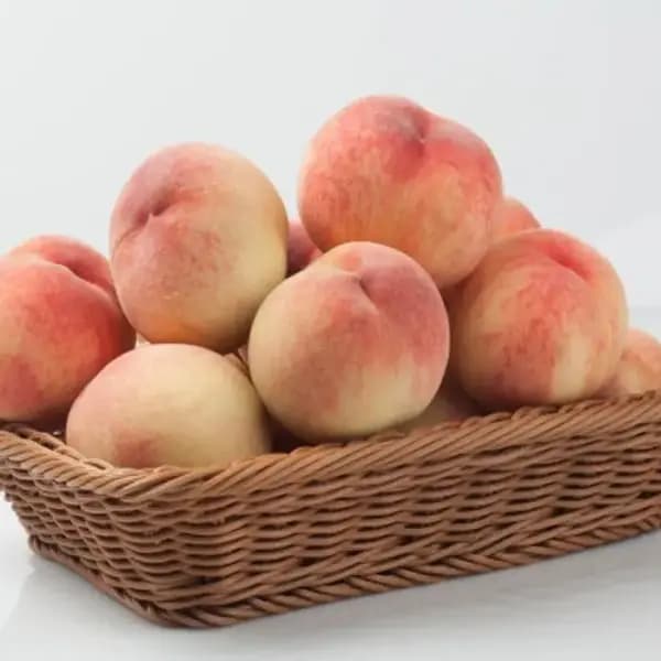 아삭 복숭아 2kg
