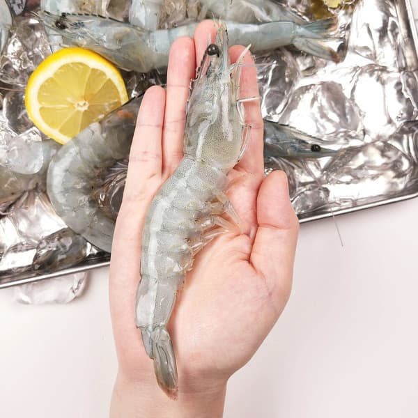 흰다리새우 1kg 34미