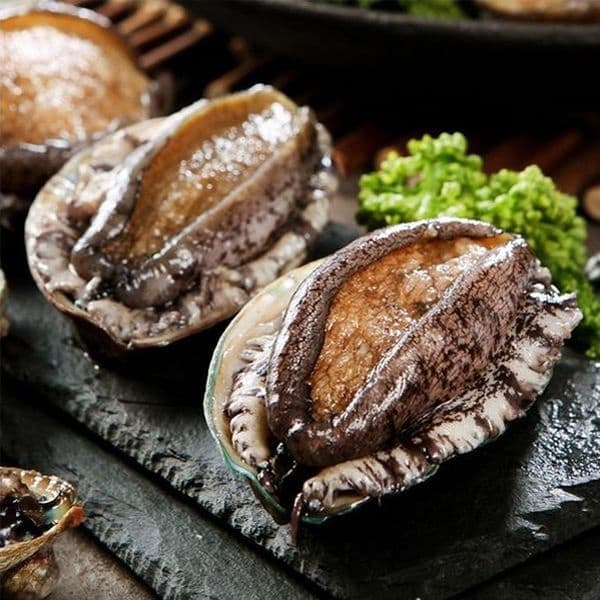 해신수산 완도활전복 특대 10-11미 1kg