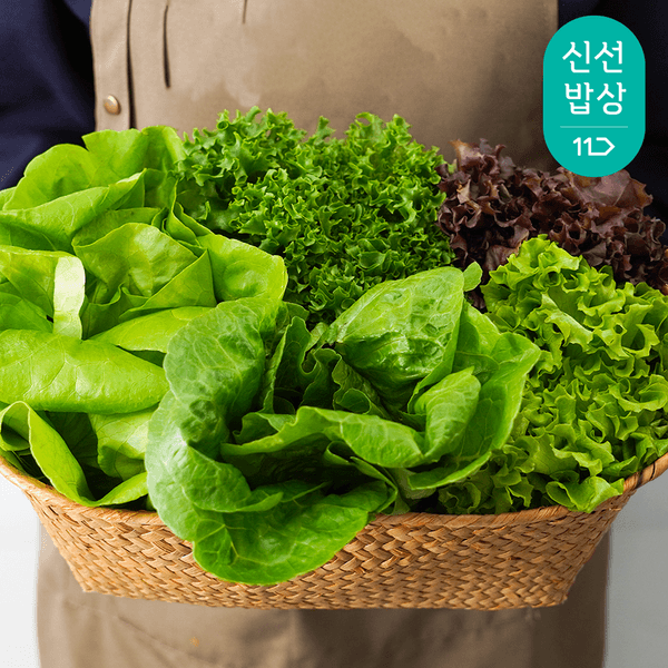 국내산 샐러드 채소 1kg 3-6종 랜덤발송