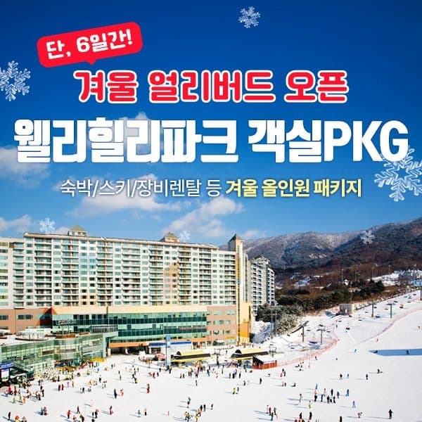 웰리힐리파크 객실 패키지