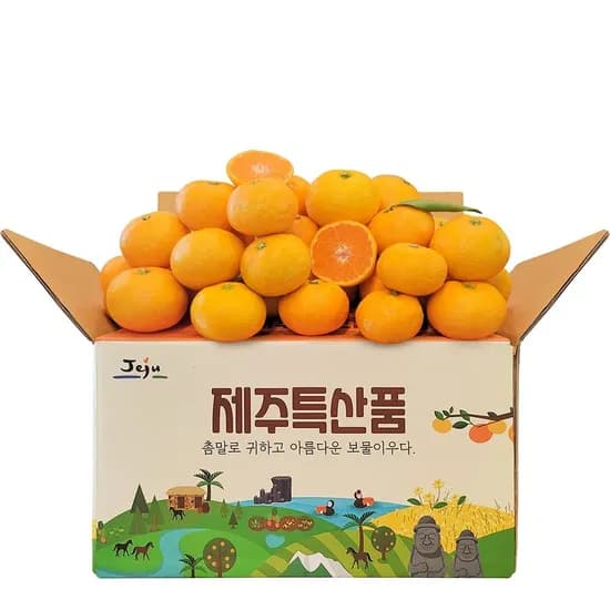 제주 노지조생 감귤 중대과 4.5kg