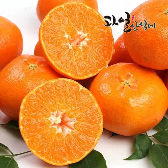 제주직송 레드향 벌크 중대과 2.5kg 16,960원