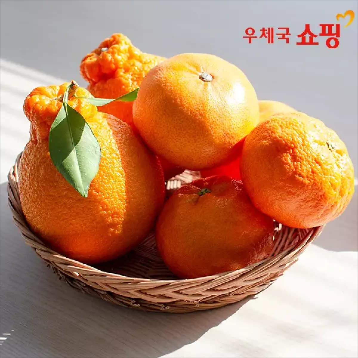 13brix 이상 제주 하우스 한라봉, 레드향, 천혜향 2kg 9,170원