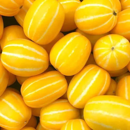 성주 꿀참외 5kg