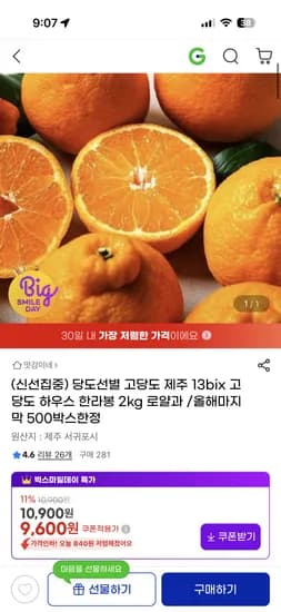제주 고당도 하우스 한라봉 2kg 로얄과 9600원 무배 초핫딜