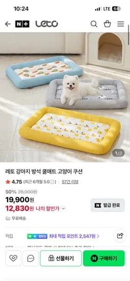 leto 레토 강아지 고양이 쿨매트 방석