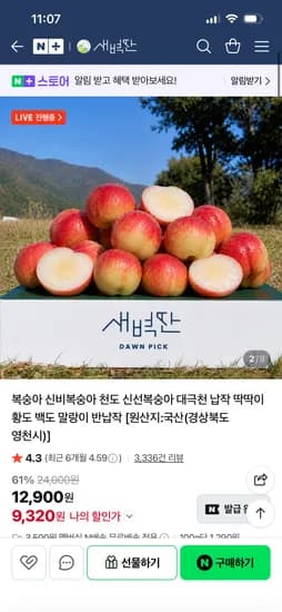 신비복숭아 2kg 로얄 14-24과