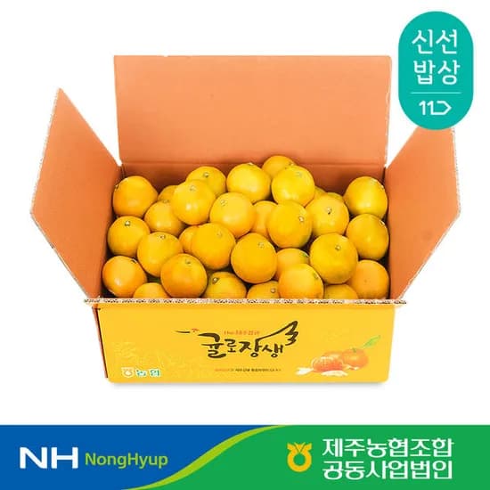 11번가 제주농협 귤로장생 하우스감귤 4.5kg 소과 23270 카카오페이결제시
