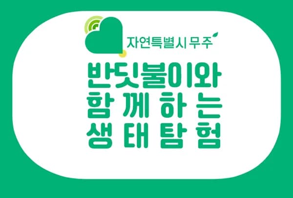 9월 무주 반딧불이 생태탐험&신비탐사 체험 예약 열렸어요