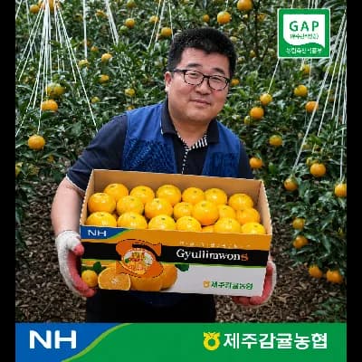 제주감귤농협 하우스감귤 귤림원 가정용 4.5kg 중대과(L~3L) 20900원
